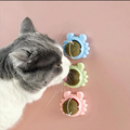 Licking Catnip rotating ball