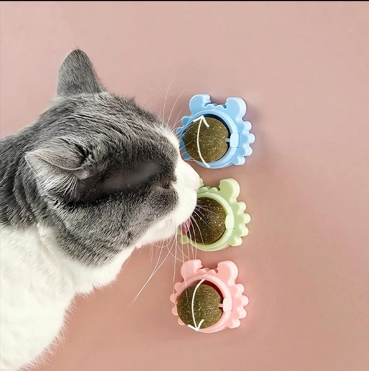 Happy Cat Bundle