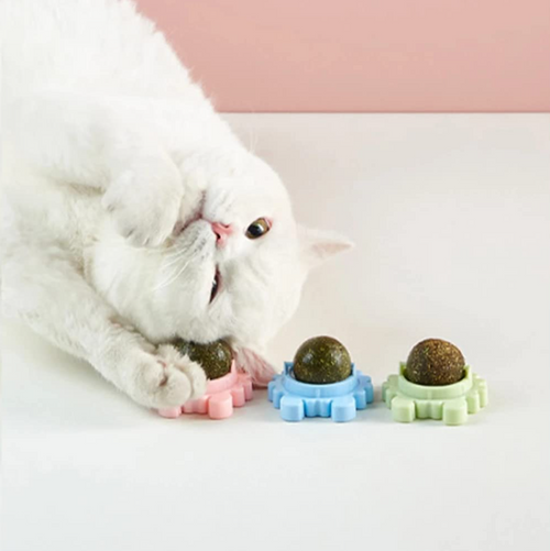 Licking Catnip rotating ball