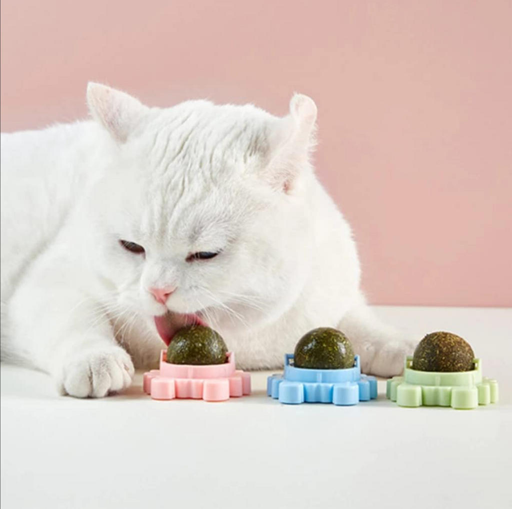 Licking Catnip rotating ball