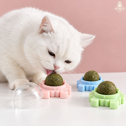 Licking Catnip rotating ball